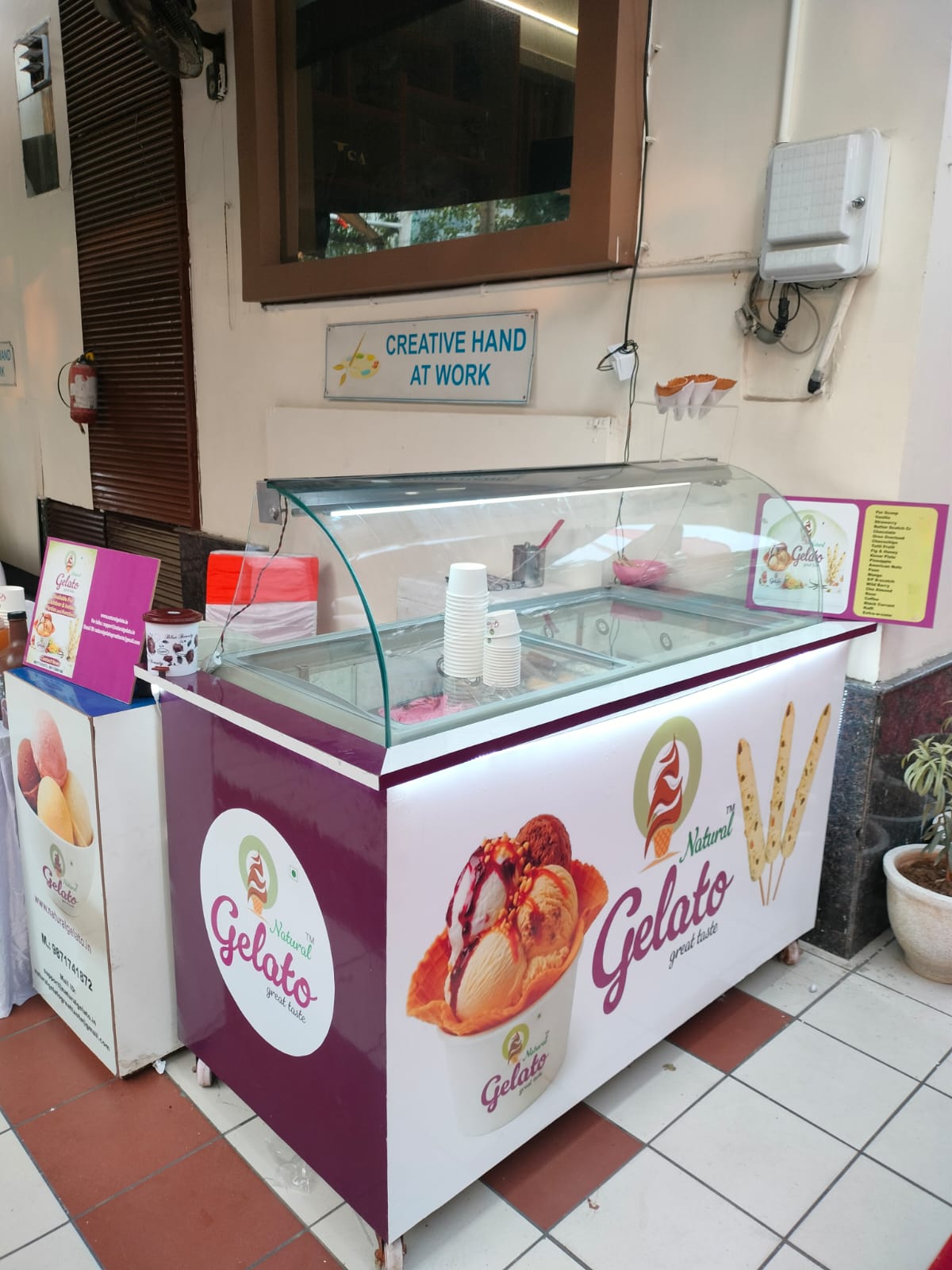 WhatsApp Image 2026-03-31 at 14.04.30